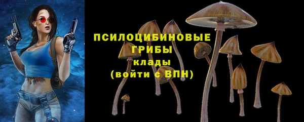 ешки Богородицк