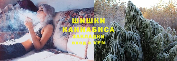 PSILOCYBIN Богородск
