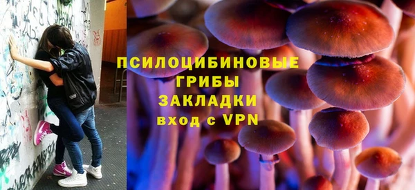 скорость Богданович