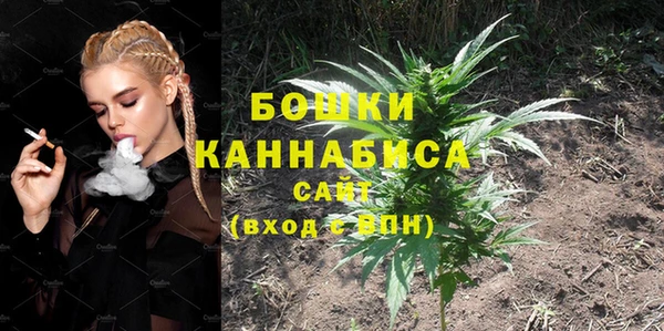 PSILOCYBIN Богородск