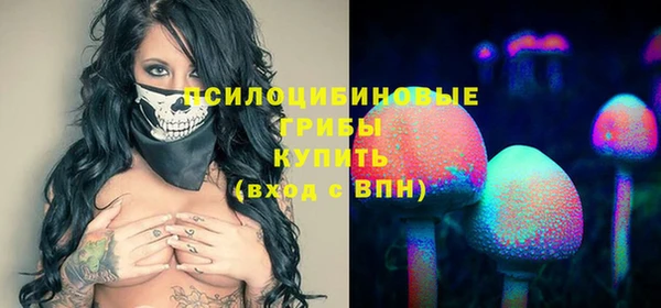 скорость Богданович