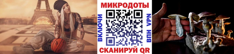 Псилоцибиновые грибы ЛСД  Любань 